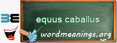 WordMeaning blackboard for equus caballus